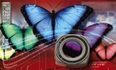 Иллюстрированный самоучитель по Adobe InDesign: азы